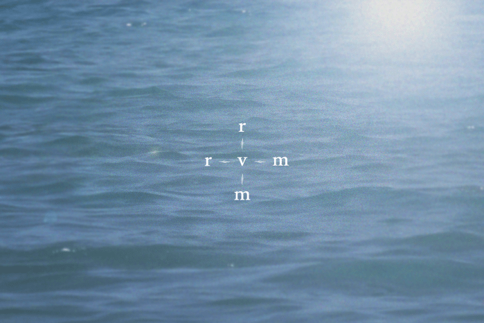 Rick van Meijel logo 2024